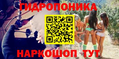 spice Новодвинск