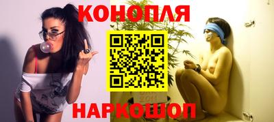 spice Новодвинск