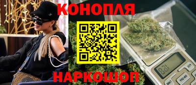 spice Новодвинск